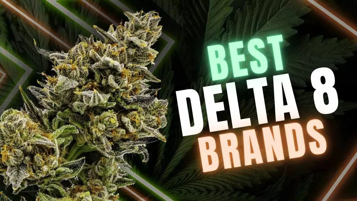 Best Delta 8 Brands of 2025: Top THC Brands Ranked & Reviewed