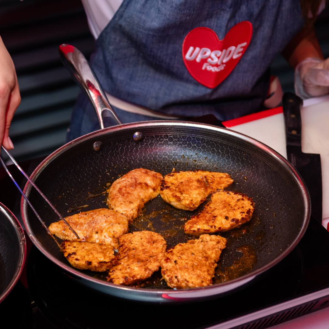 ‘Another loss for Frankenmeat’: Florida ban on lab-grown meat upheld