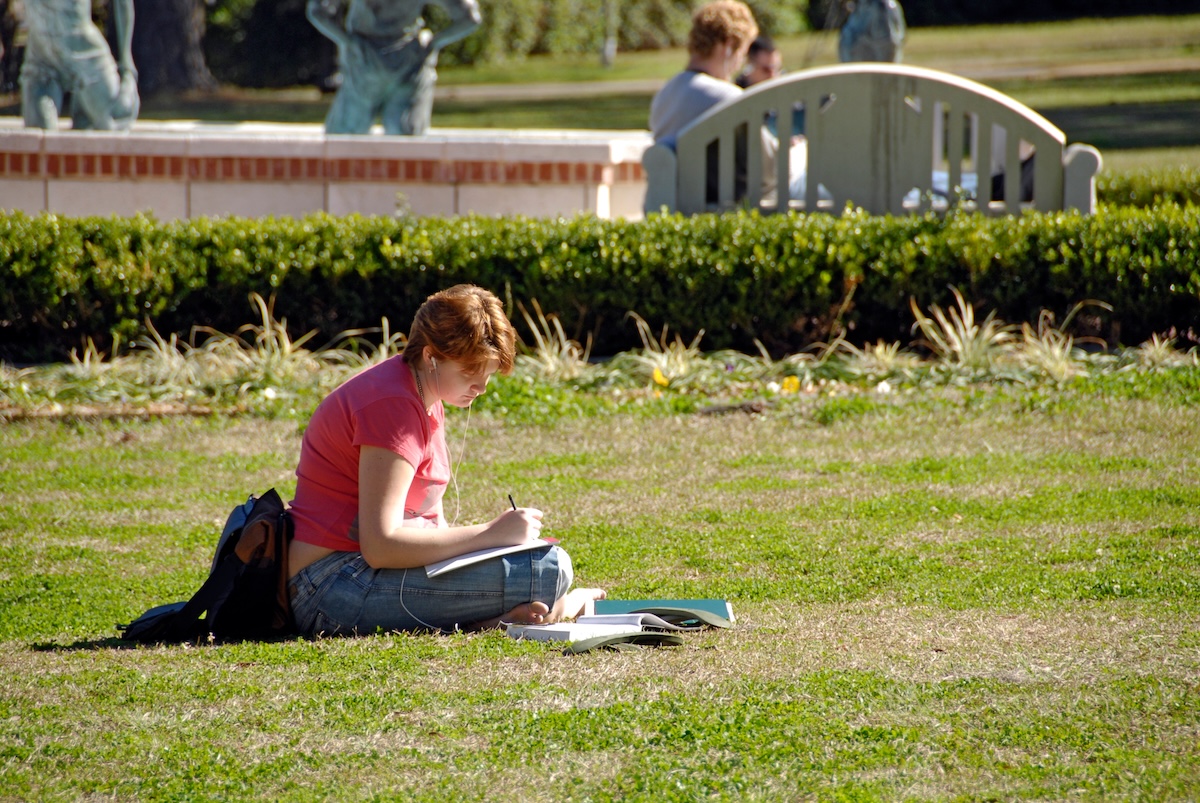 Florida scraps sociology as a general education course at universities