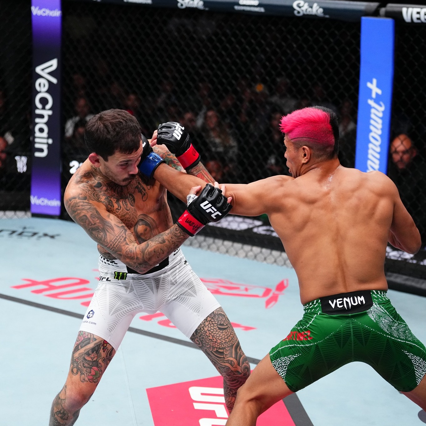 DeSantis approves UFC-themed Florida license plate