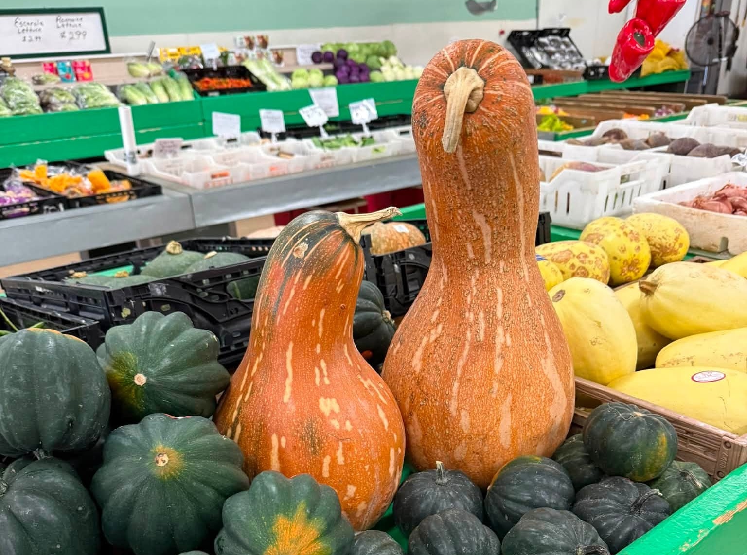 Curry Ford staple Clemons Produce to close at the end of August